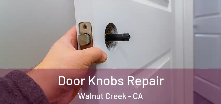  Door Knobs Repair Walnut Creek - CA