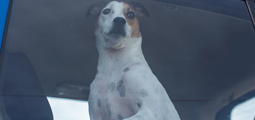 Car Lockout Solutions in Walnut Creek, California