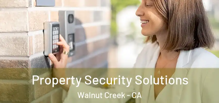  Property Security Solutions Walnut Creek - CA